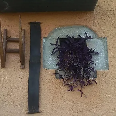 Turismo Rural Casa Patro