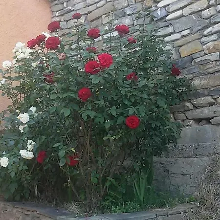 Turismo Rural Casa Patro Prázdninový dům Abena