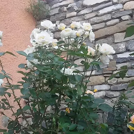 Turismo Rural Casa Patro